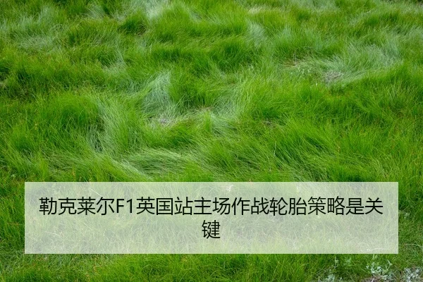 lei-ke-lai-er-ying-guo-zhan-zhu-chang-zuo-zhan-lun-tai-ce-lve-shi-guan-jian-2-949.jpg